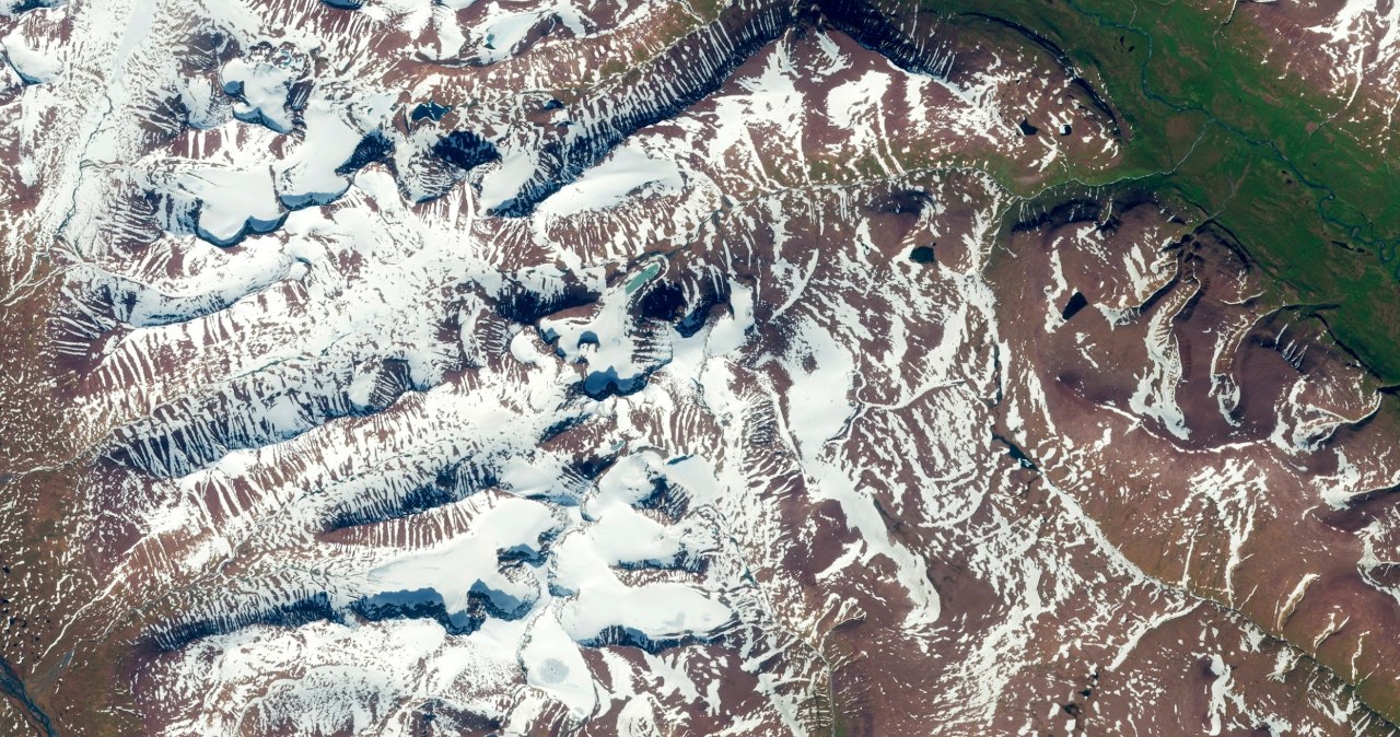 wiadomości,aktualności,Interia Szwedzcy naukowcy 