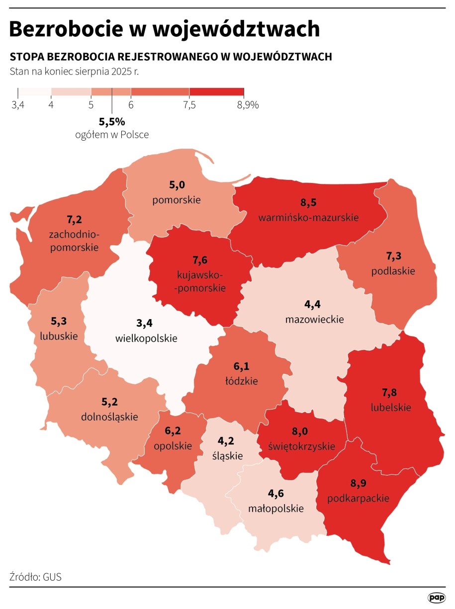 /Mateusz Krymski /PAP