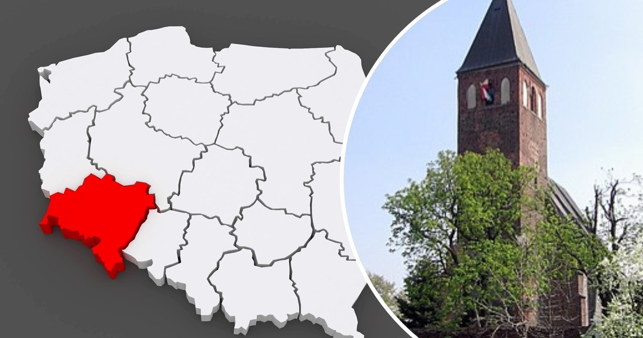 Owady zamiast złota. Odkrycie w grobie dziecka sprzed 2,5 tys. lat