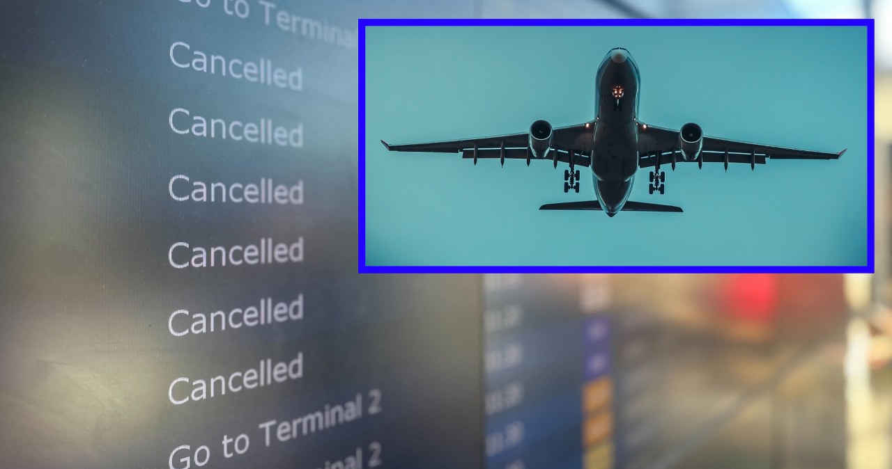 Jak duży chaos wywołały drony nad lotniskami? Flightradar ujawnia liczby