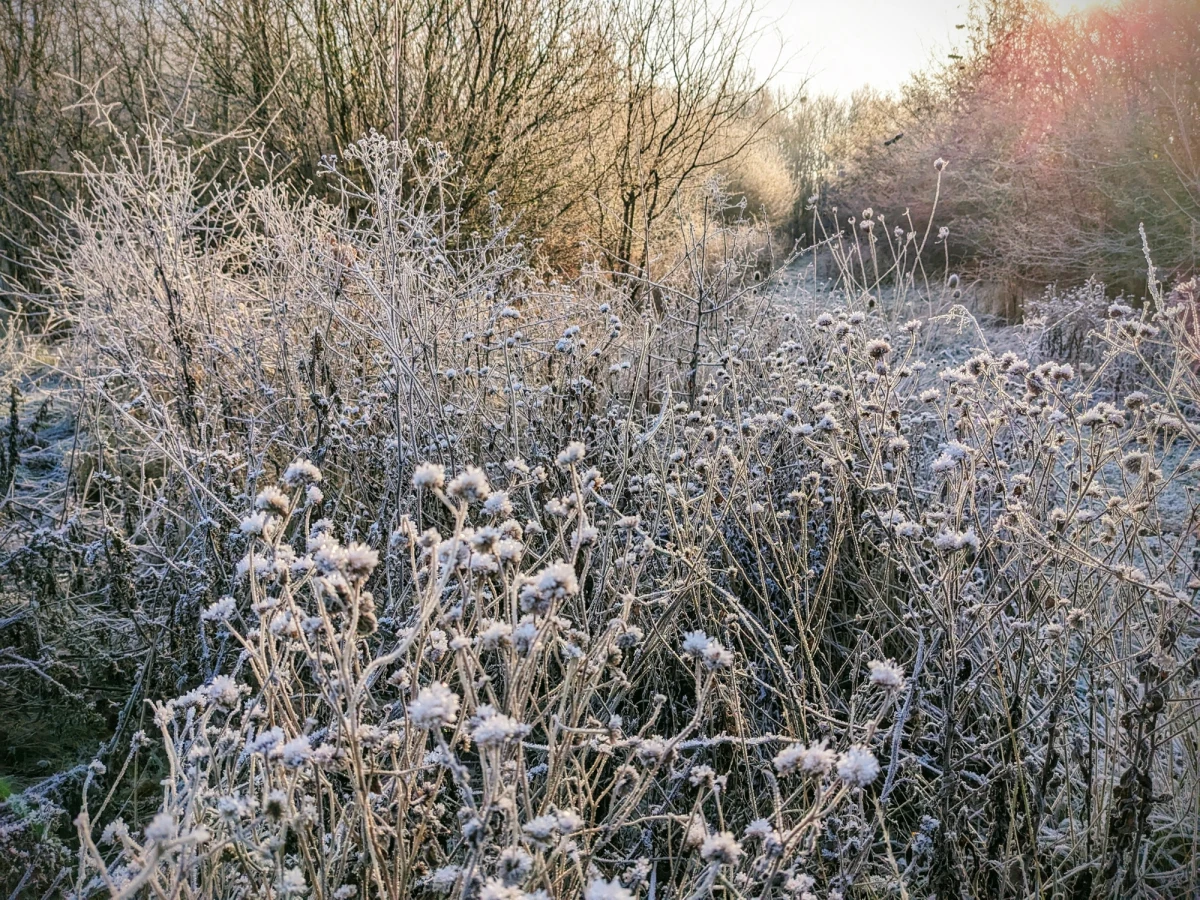 Nad Polskę napłynęło arktyczne powietrze, które przyniesie znaczne ochłodzenie i lokalne przygruntowe przymrozki. Synoptycy ostrzegają, że w najbliższych dniach temperatura może spaść nawet poniżej zera, szczególnie w nocy i nad ranem. Sprawdź, gdzie i kiedy należy spodziewać się najchłodniejszych warunków.