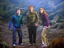 Harry Potter i Zakon Feniksa