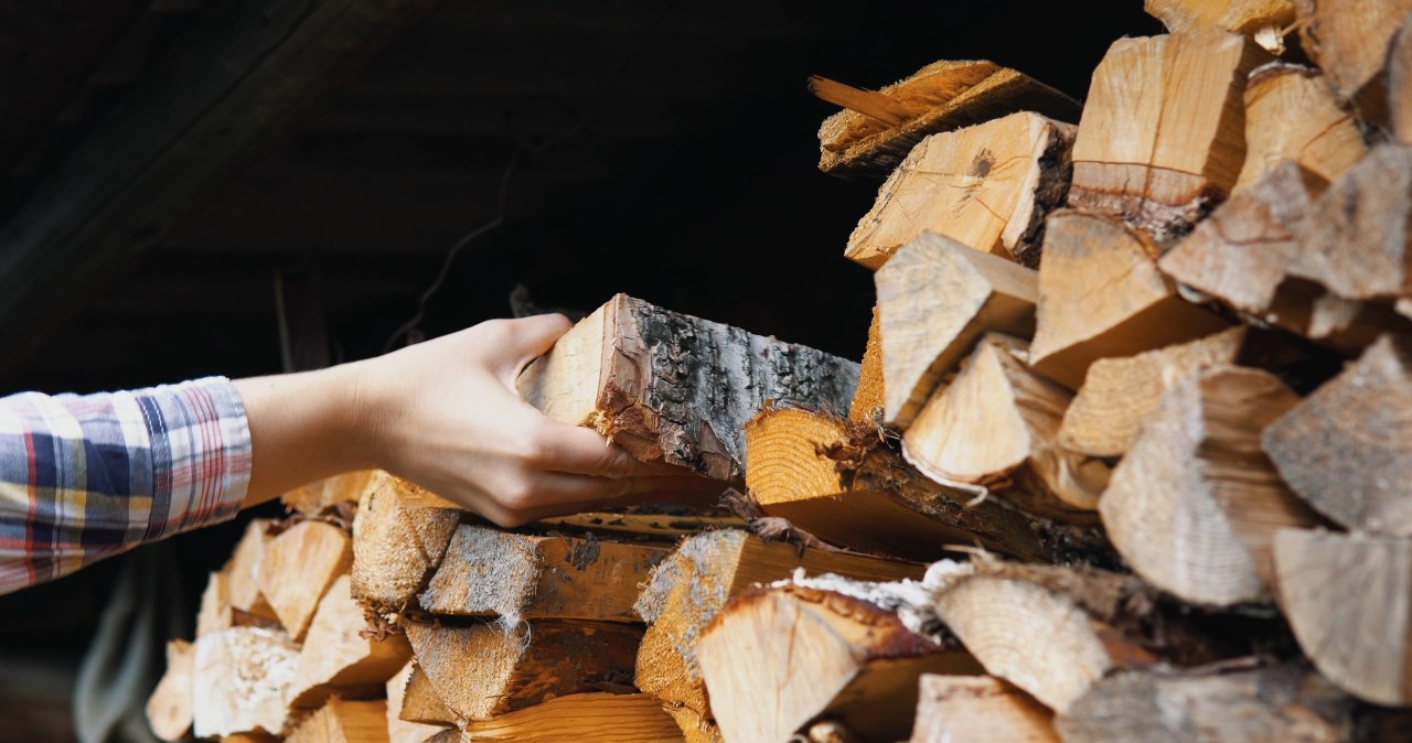 Ceny drewna w październiku. Ile trzeba zapłacić za kubik?