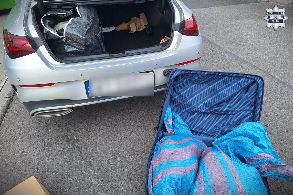 Około 100 kg narkotyków przejęli śląscy i małopolscy policjanci. Ich wartość to prawie 4 miliony złotych. W sprawie zatrzymanych zostało dwóch mężczyzn. Obaj są już tymczasowo aresztowani.