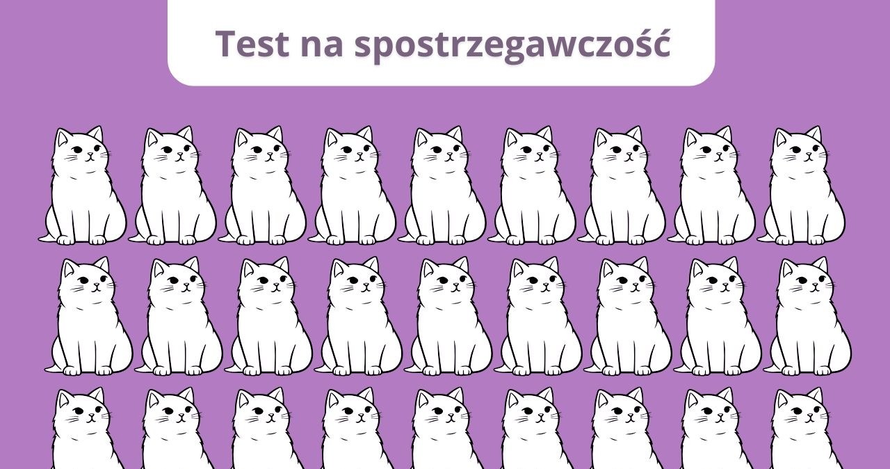 Poranny trening dla mózgu: Różnica, którą mało kto dostrzega