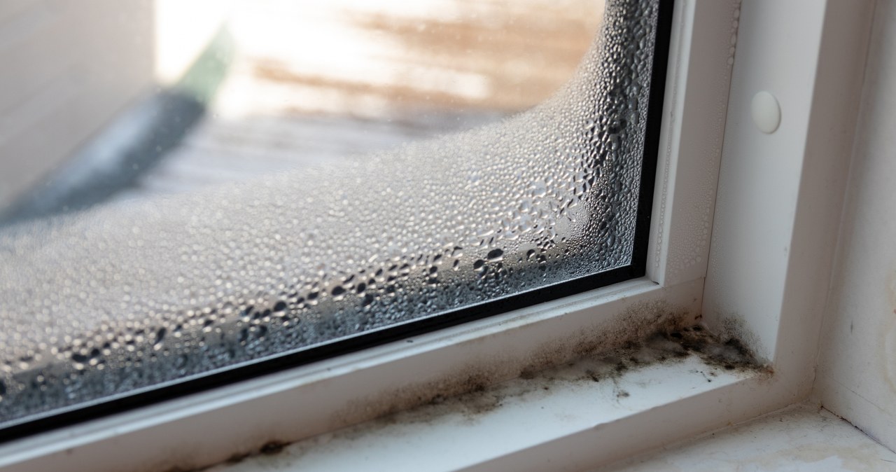 W tym miejscu pleśń wychodzi najczęściej. Pomóc mogą te trzy produkty