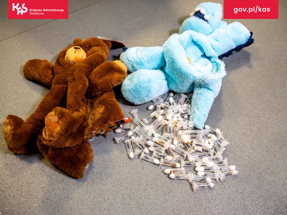 Zabawki, a w środku żywe mrówki. Przemyt udaremniony