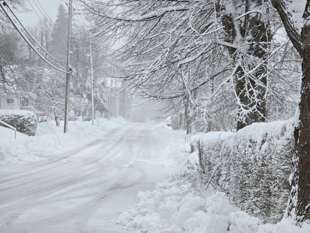Europa przygotowuje się na pierwszy w tym sezonie atak zimy. Meteorolodzy ostrzegają przed intensywnymi opadami śniegu, które mogą poważnie utrudnić ruch na alpejskich drogach. W niektórych miejscach pokrywa śnieżna sięgnie nawet 60 cm.
