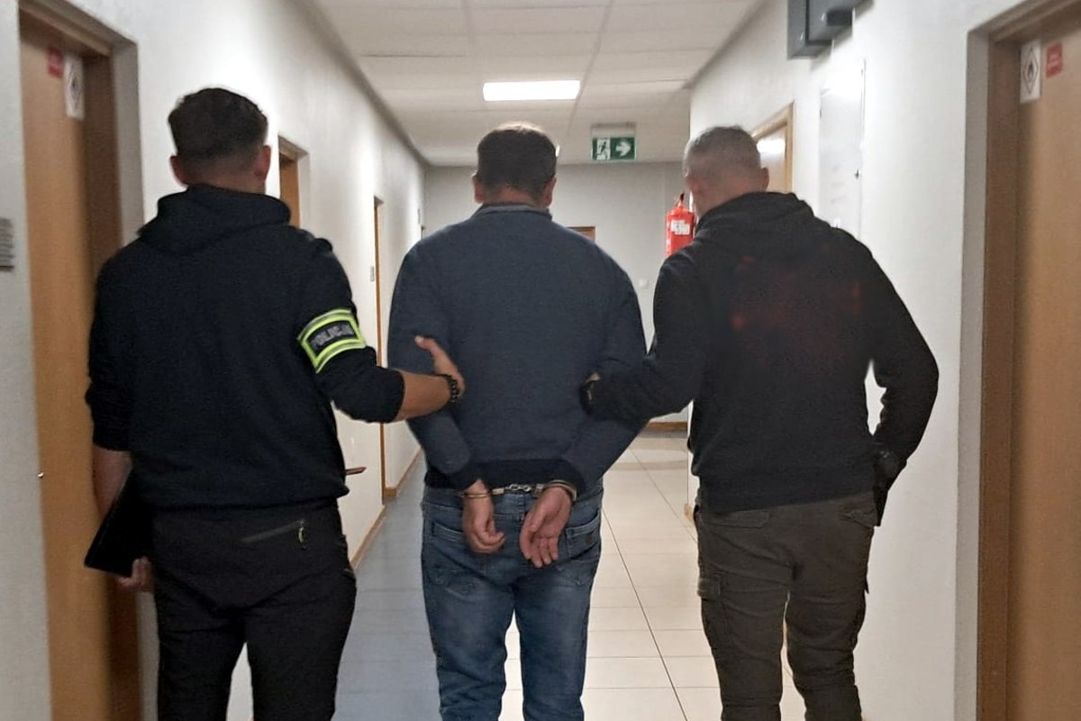 Nowy sposób oszustów - "na krowy mleczne". Ludzie stracili ponad 8 mln złotych