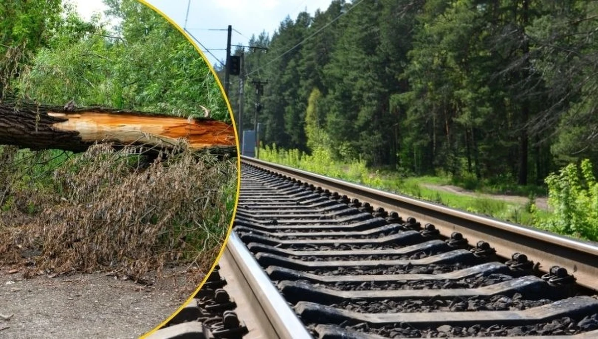 Po uszkodzeniu sieci trakcyjnej na linii kolejowej Wodzisław Śląski – Olza w kierunku czeskiej granicy w Chałupkach przez kilka godzin wstrzymany był ruch pociągów - informują PKP Polskie Linie Kolejowe. Za pociągi regionalne kursowały autobusy, natomiast pociągi międzynarodowe kierowane były objazdami.