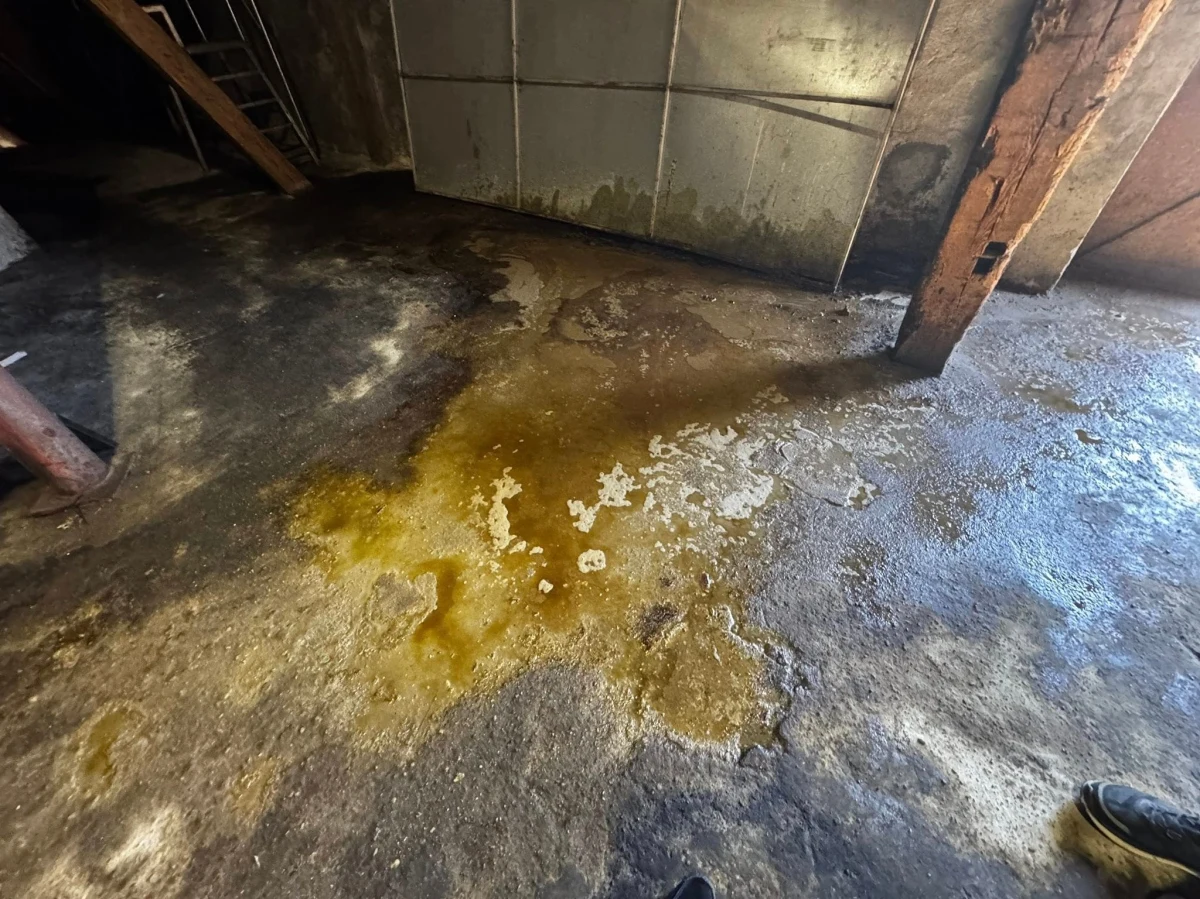 Kwas siarkowy w kanalizacji w Inowrocławiu w Kujawsko-Pomorskiem. Jak alarmuje tamtejsze Przedsiębiorstwo Wodociągów i Kanalizacji, doszło do nielegalnego spustu niebezpiecznych substancji do miejskiego systemu. Sprawą zajmuje się już policja i inspektoraty ochrony środowiska. 