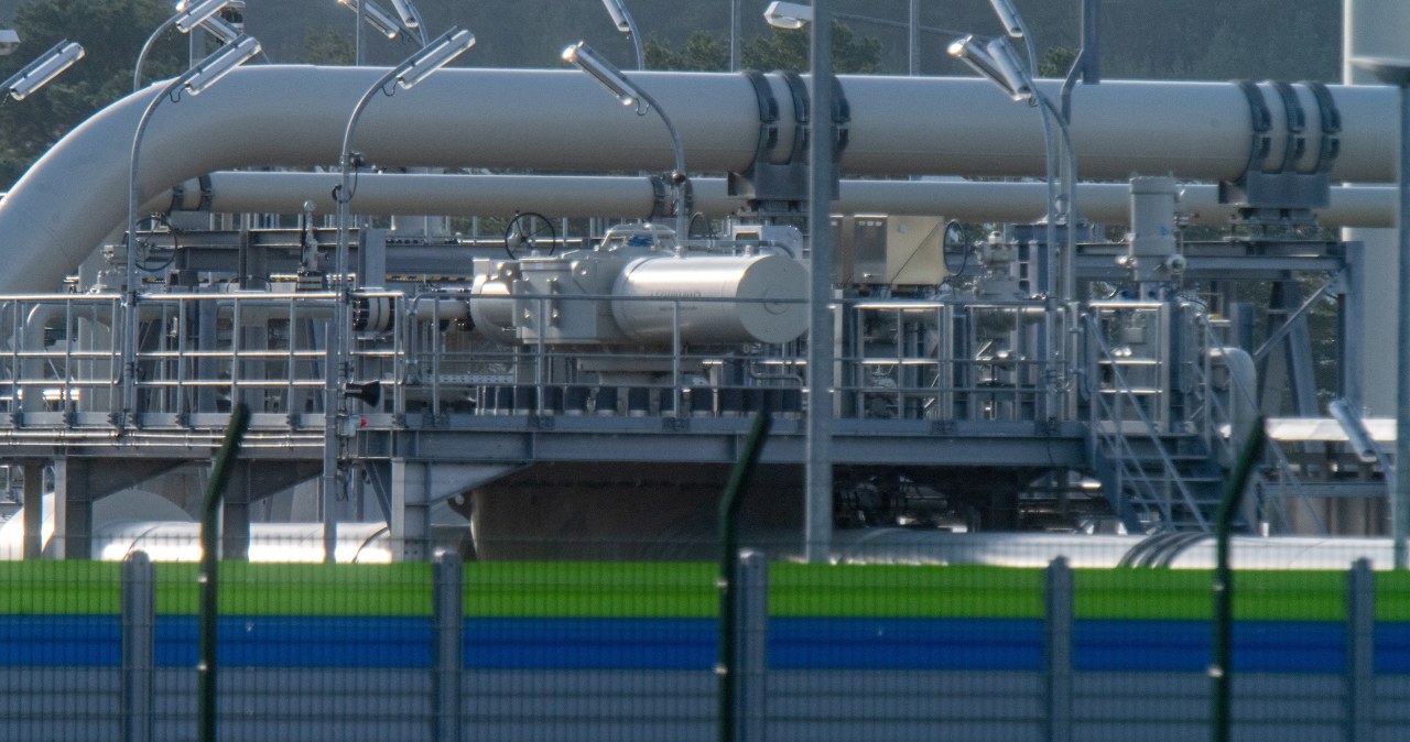 Felieton Gwiazdowskiego: Pożywiom - uwidim