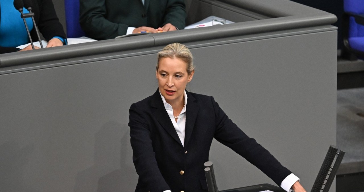 AfD dostała potężny spadek. Sprawa trafiła do niemieckiego sądu