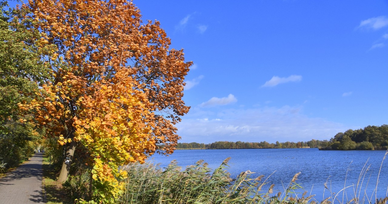 Malownicze trasy i lasy pełne grzybów. Spędź tutaj jesienny weekend