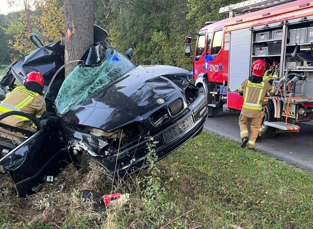 23-letni kierowca bmw nie żyje - to tragiczny bilans wypadku, do którego doszło w piątek o poranku na drodze powiatowej nr 1415L na odcinku pomiędzy Potokiem a Zalesiem w województwie lubelskim. Młody człowiek uderzył w drzewo. Na miejscu występują utrudnienia. 