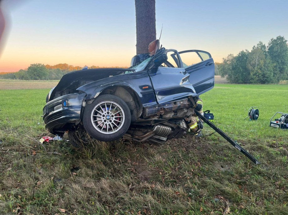 /Policja Ryki /Policja