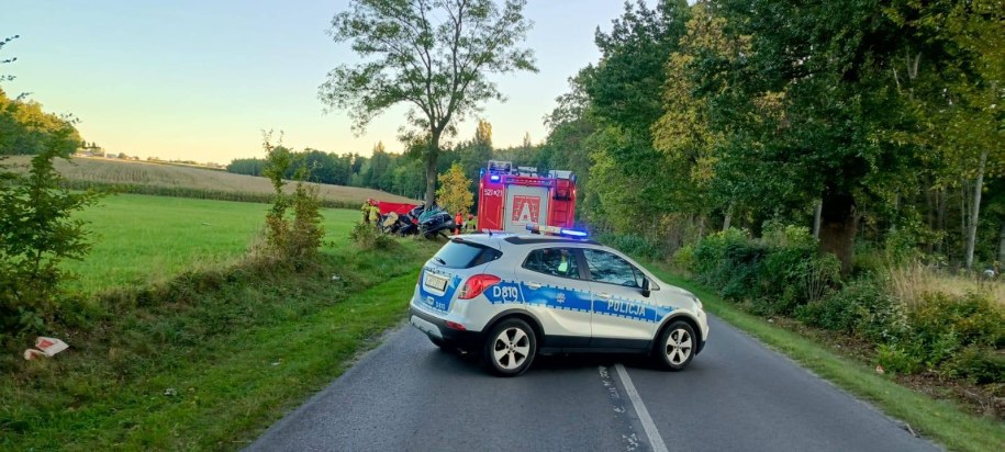 /Policja Ryki /Policja