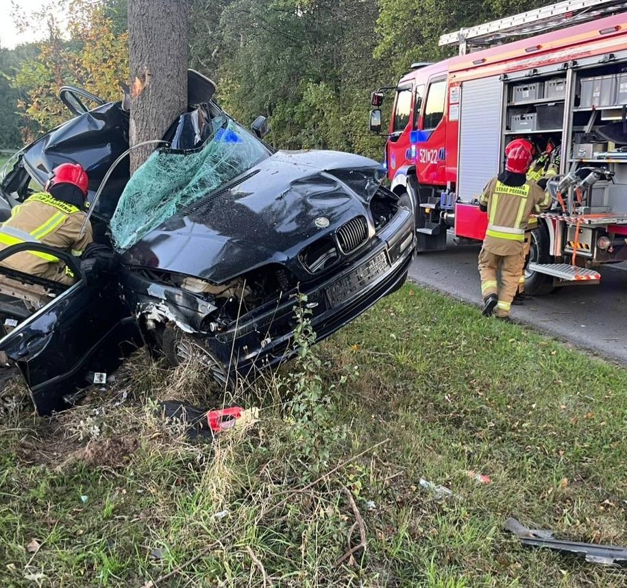 /Policja Ryki /Policja