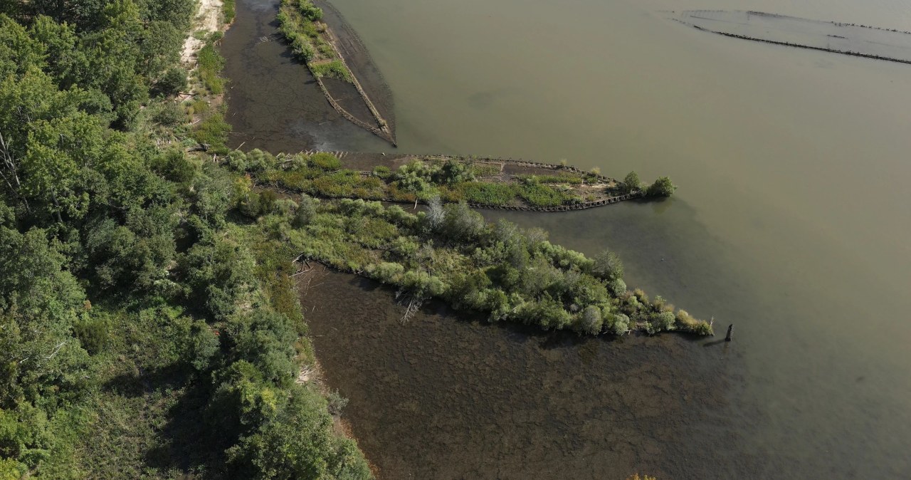Natura uwielbia wraki wojenne. Niezwykłe odkrycie w Bałtyku