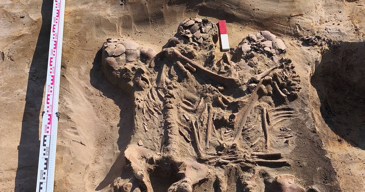 Niesamowite odkrycie w Polsce. Znaleziono średniowieczne cmentarzysko