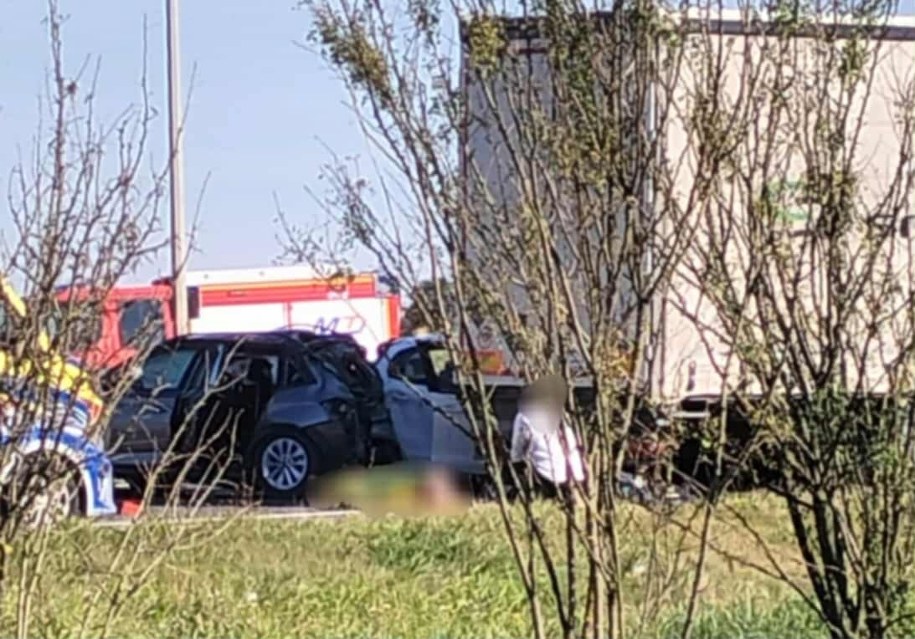 /Czytelnik mojaolesnica.pl /RMF FM