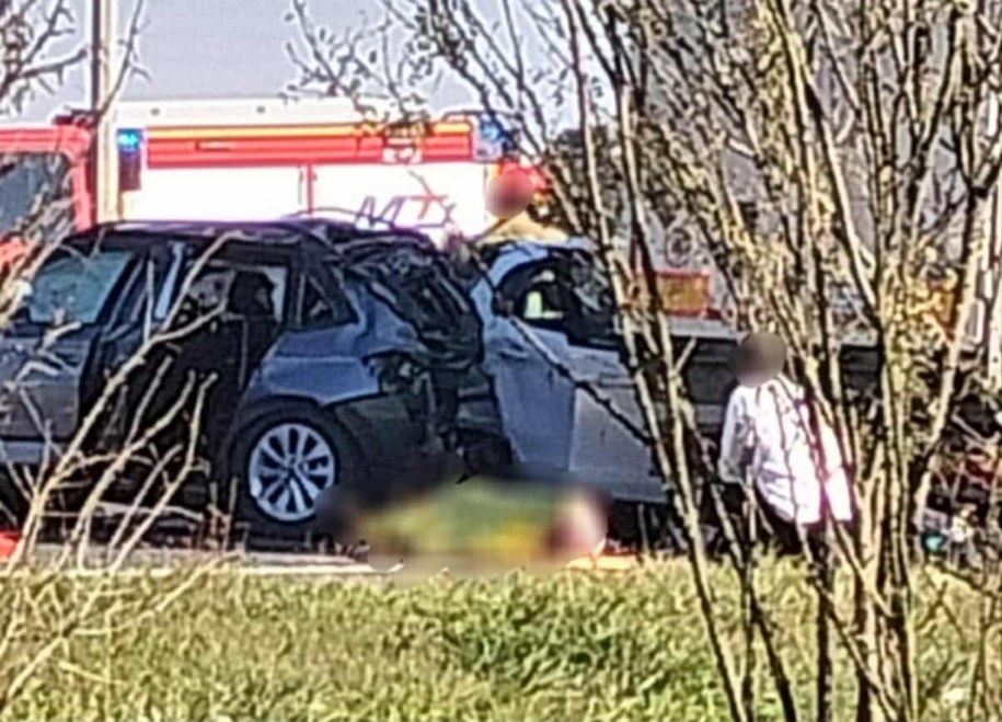 /Czytelnik mojaolesnica.pl /RMF FM