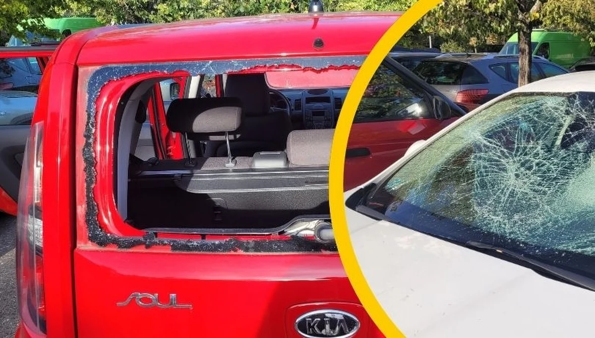 Wybite szyby, wyrwane ramki do tablic rejestracyjnych, ławka rzucona na maskę. W nocy na warszawskich Stegnach zdemolowano ponad dwadzieścia samochodów. Sprawców szuka policja. Do nocnego incydentu doszło na ulicy Neseberskiej na warszawskim Mokotowie.