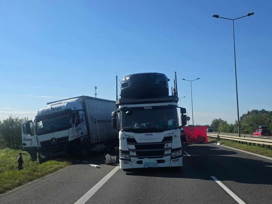 /KPP Oleśnica /Policja