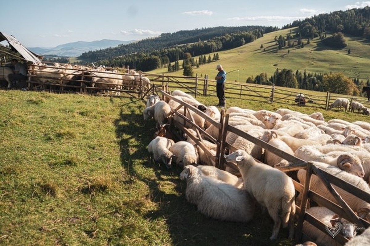 Tylko nieliczni widzieli ten świat! Zajrzyj do bacówki, gdzie czas się zatrzymał
