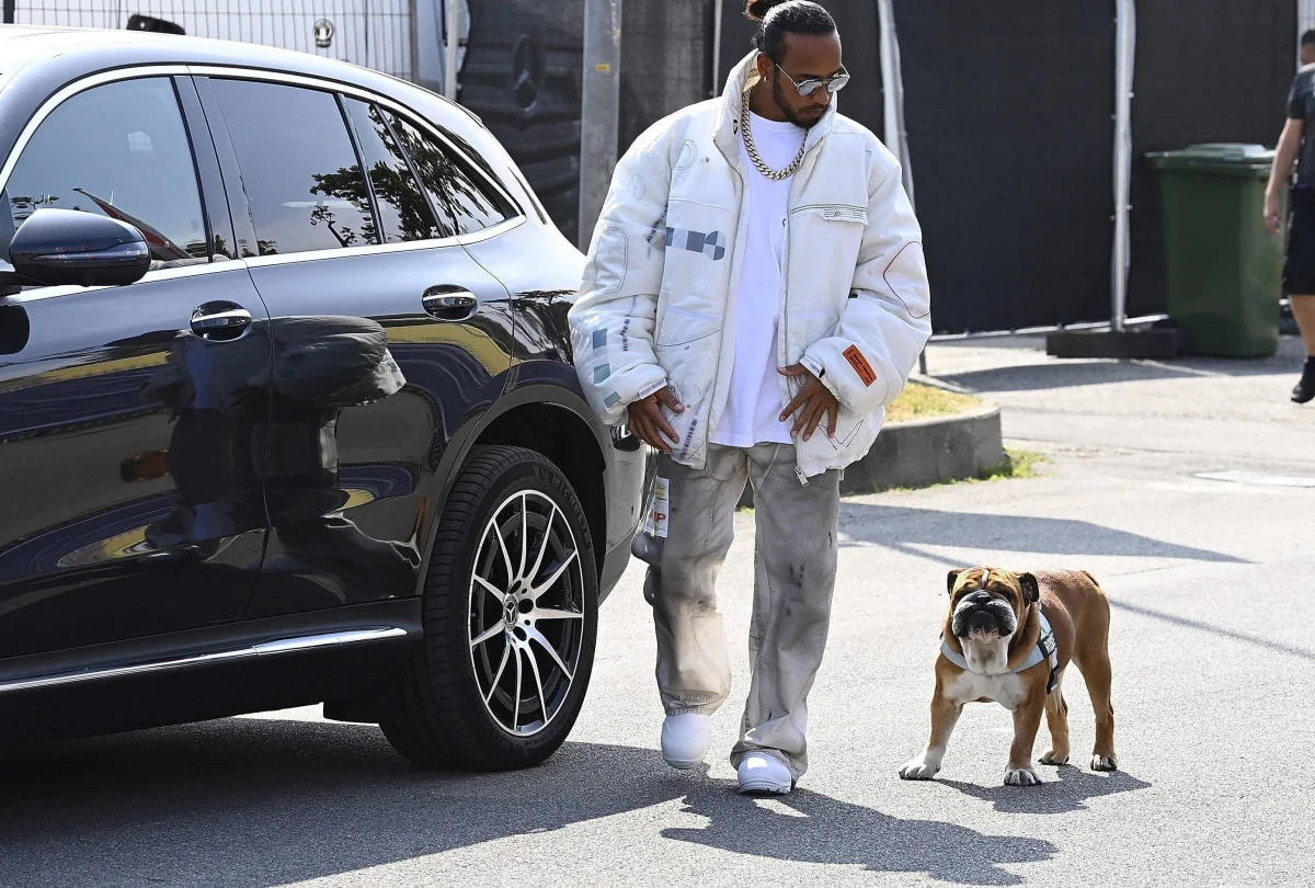 ​W weekend kibiców Formuły 1 czekają emocje związane z Grand Prix Singapuru. W internetowych dyskusjach dominuje na razie jeden temat: śmierć Roscoe - ukochanego buldoga Lewisa Hamiltona i poruszające wyznanie, które w mediach społecznościowych opublikował słynny kierowca. "To jedno z najboleśniejszych doświadczeń i czuję głęboką więź z każdym, kto stracił ukochanego zwierzaka" - napisał gwiazdor Formuły 1.