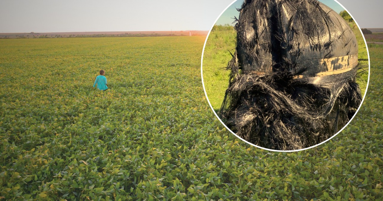 Na pole rolnika spadł duży, "włochaty" obiekt. Akcja służb