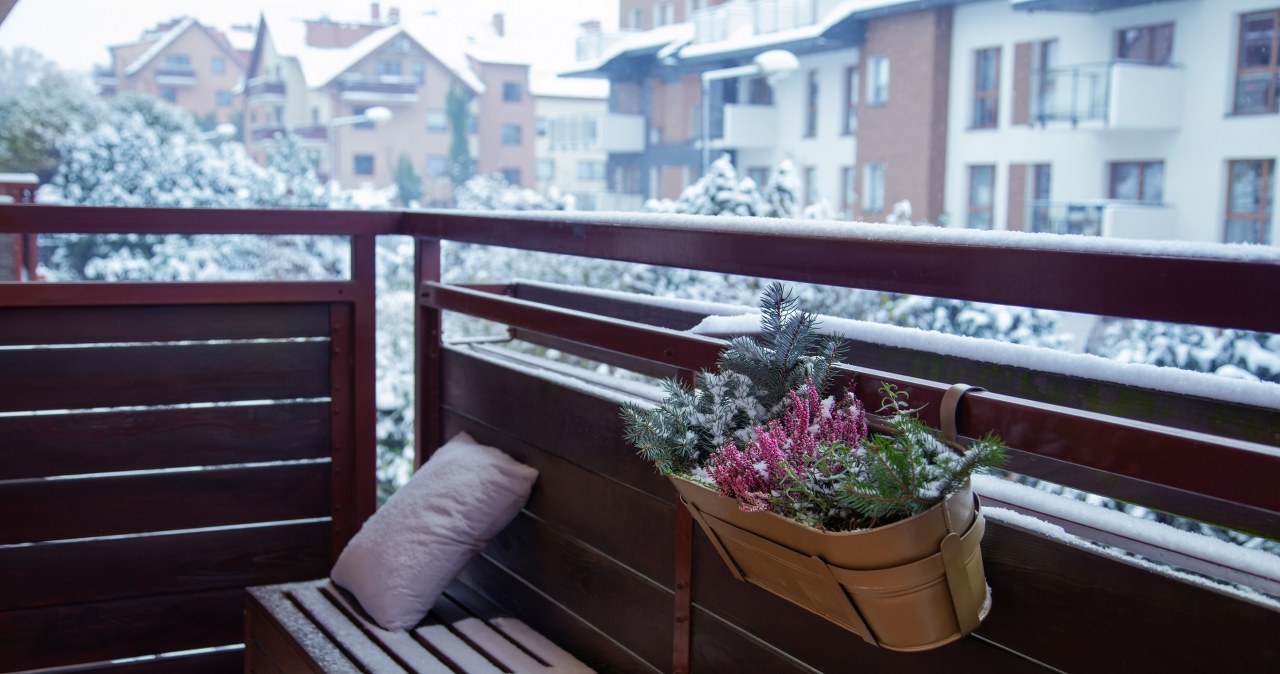 Tak zabezpieczysz rośliny przed mrozem. Pomoże ci gazeta