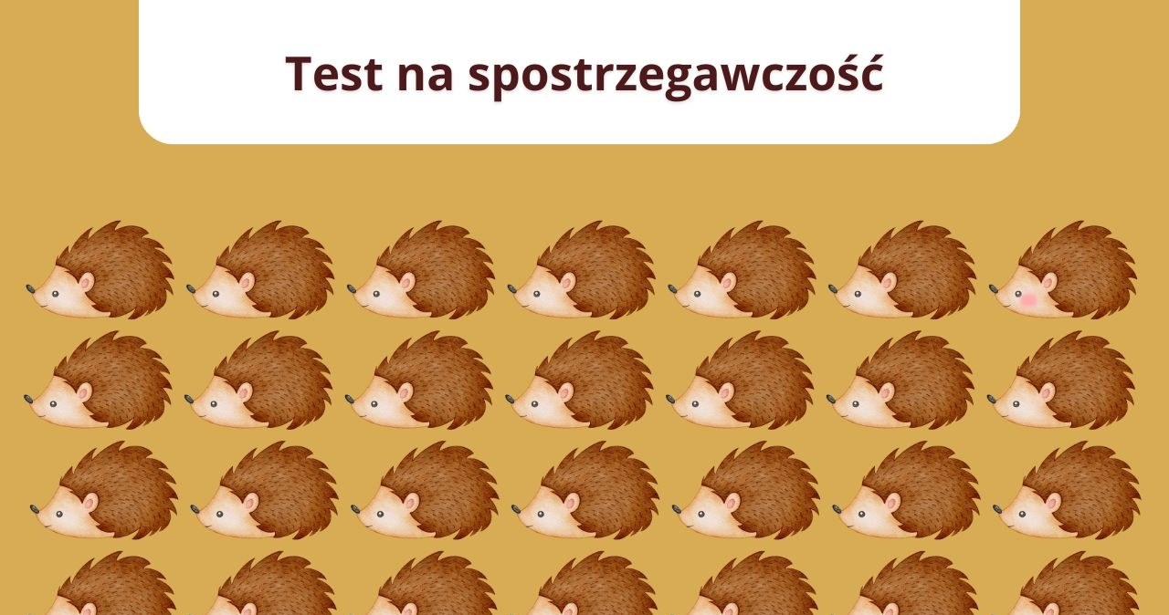 Jesień pogorszyła twoją koncentrację? Tylko bystre oko dostrzeże róznicę