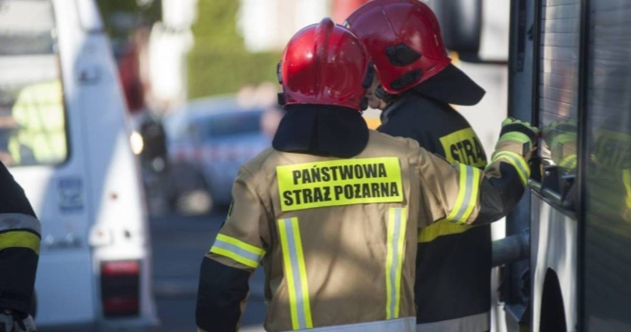 wiadomości,aktualności,Interia Tragedia na Podkarpaciu. Dziadek z wnuczką przechodzili przez tory, oboje nie żyją