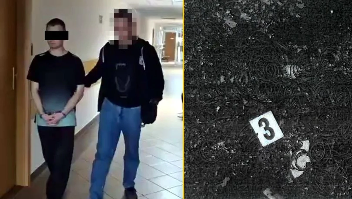 Policjanci z warszawskiego Śródmieścia prowadzą pod nadzorem Prokuratury Rejonowej Warszawa Śródmieście-Północ dochodzenie w sprawie pożaru, w którym zginęła 31-letnia kobieta. Znajomy kobiety, 33-latek, usłyszał zarzut zabójstwa ze szczególnym okrucieństwem. Trafił do aresztu, grozi mu dożywocie.