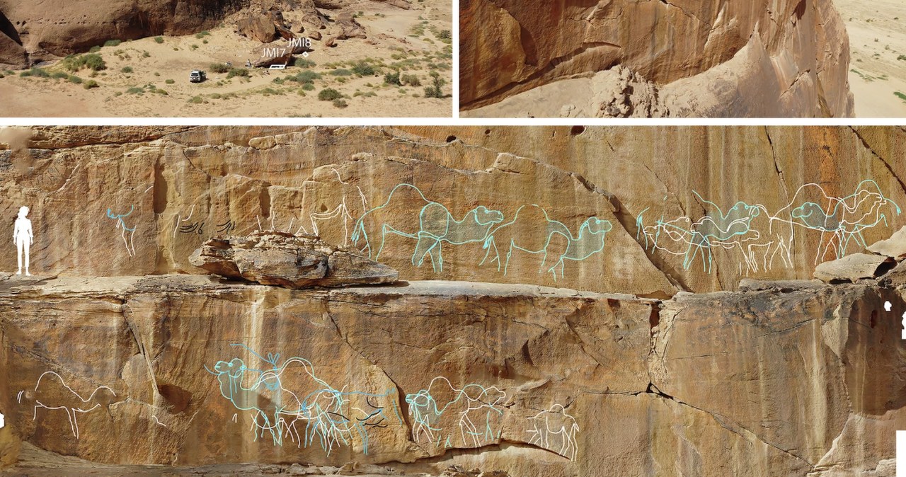 Odkryli niezwykłe znaki. Wyższe od człowieka, mają 12 tys. lat