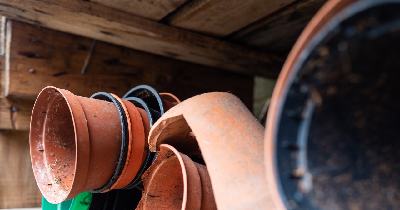 Nie wyrzucaj starych doniczek. Pomogą ci usunąć szkodniki z ogrodu