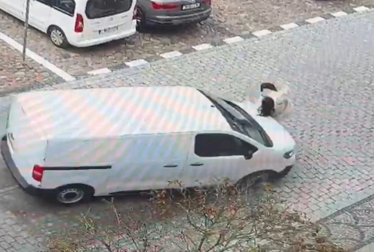 W środę przed południem w centrum Namysłowa (woj. opolskie) doszło do potrącenia ciężarnej na oznakowanym przejściu dla pieszych. ​Kobieta trafiła do szpitala. Policjanci wyjaśniają okoliczności zdarzenia.