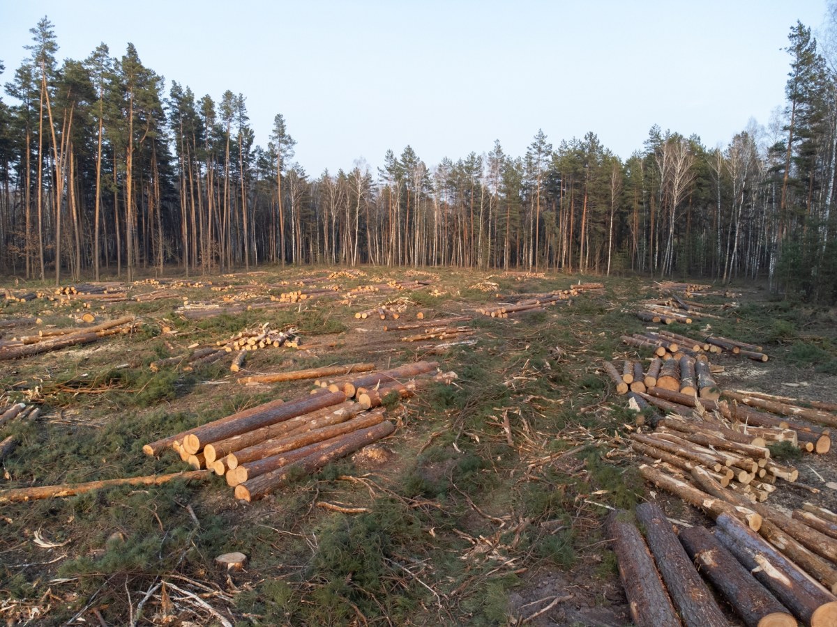 Europa traci tereny zielone. Polska w czołówce niechlubnego rankingu