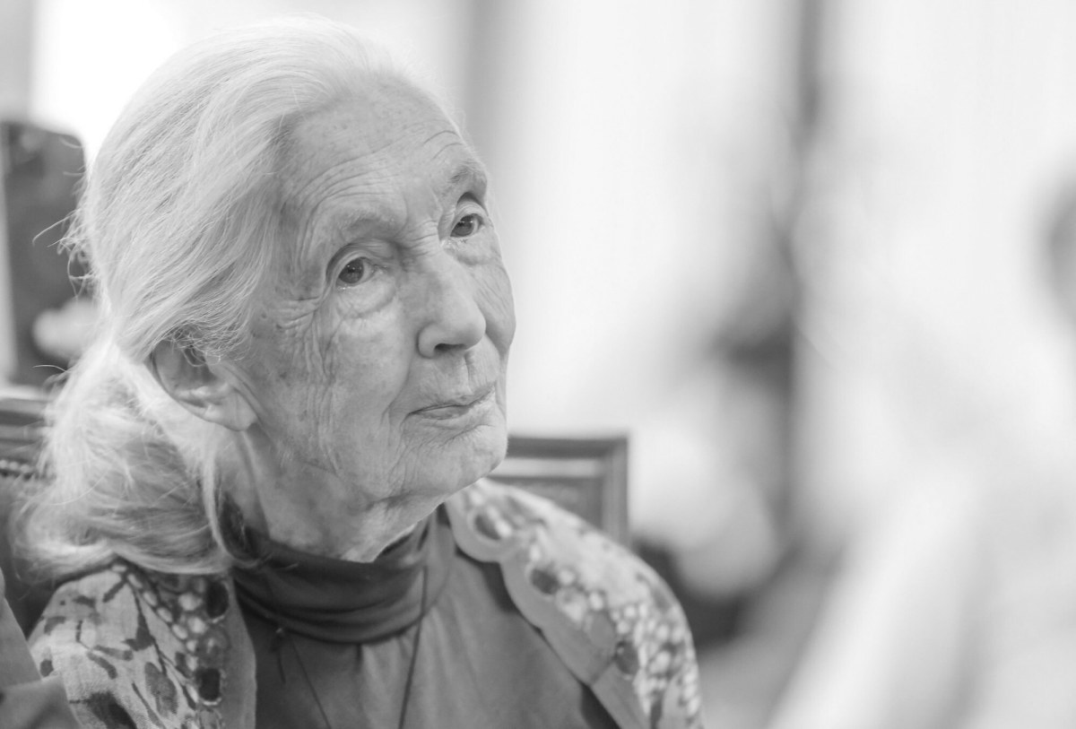 Nie żyje Jane Goodall. Była najwybitniejszą badaczką szympansów