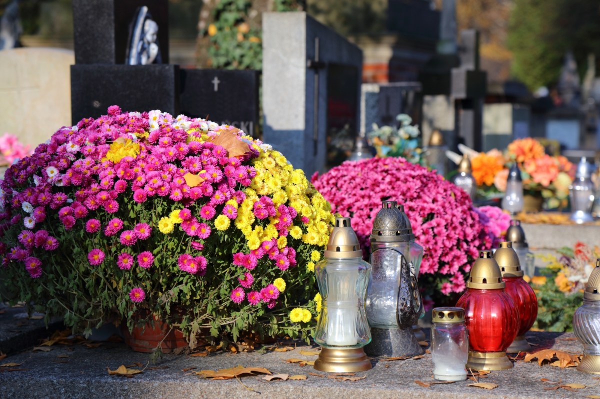 Вечный покой я продам дешево. Вот как продаются могилы в Интернете