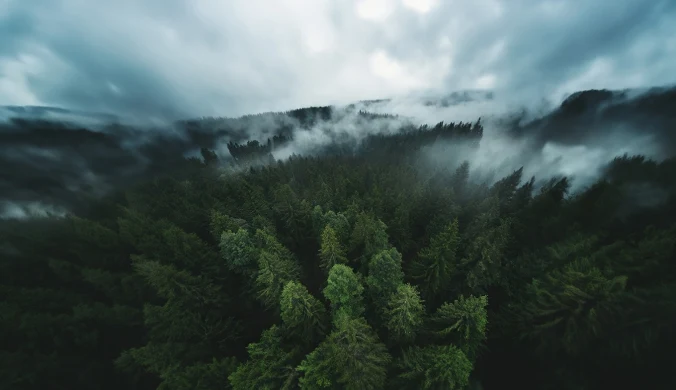 Będą zrzucać specjalny środek. Ostrzeżenie dla mieszkańców