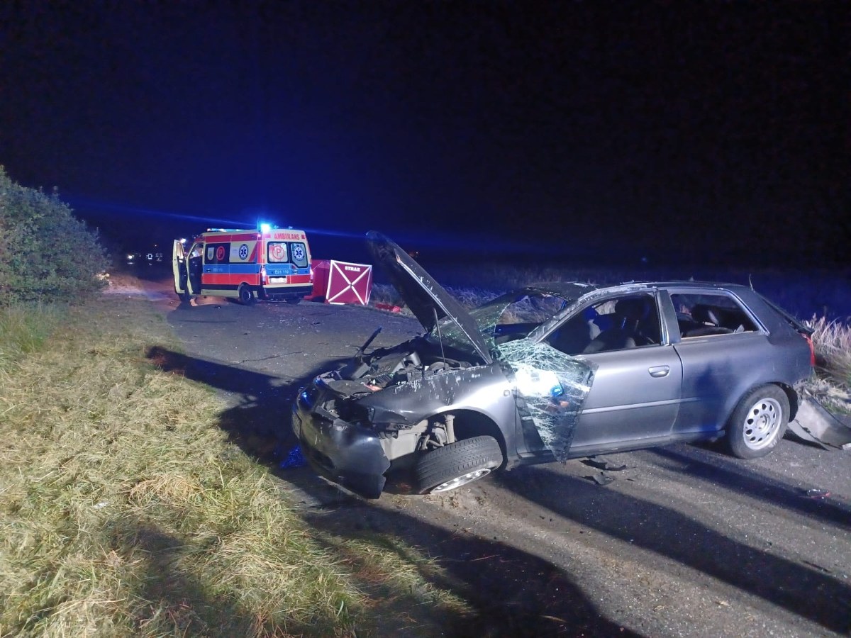 Tragedia na drodze. Kierowca wyrzucony z auta, zderzył się z sarną