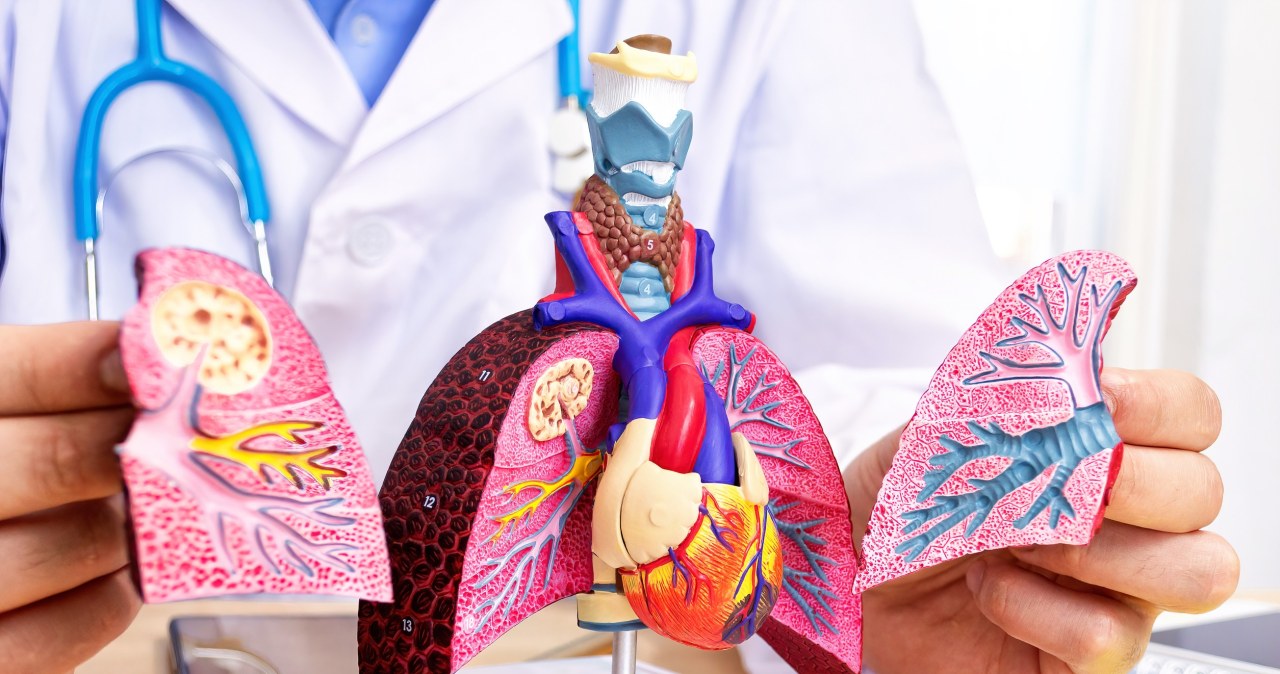 Mózg, płuca, serce. Trudny QUIZ o kluczowych narządach