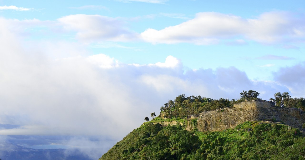 Tajemnicze stworzenie z "zakazanego" lasu. Naukowcy odkryli nowy gatunek