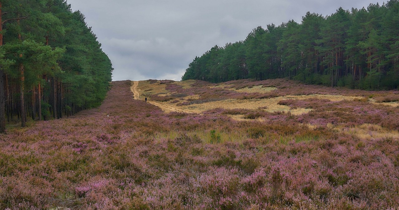 To najlepsze miejsce na jednodniową wycieczkę. Jesienią ma bajkowy klimat