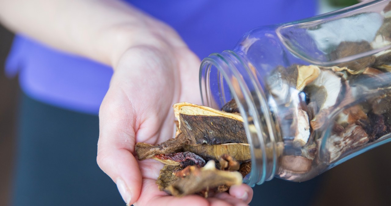 Tych grzybów nigdy nie susz. choćby jadalne mogą stać się toksyczne