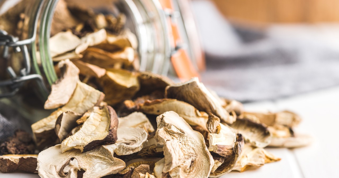 Suszarka czy piekarnik. Jak prawidłowo suszyć i przechowywać grzyby?