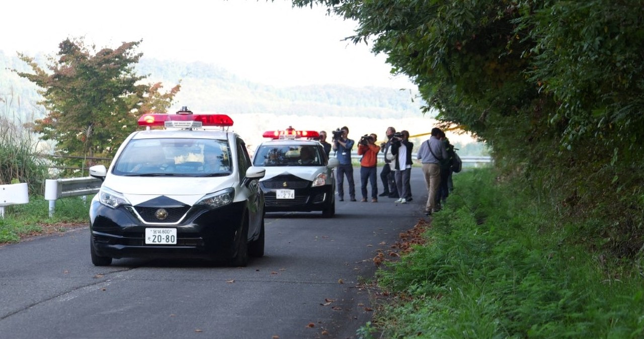 Dwie ofiary ataku niedźwiedzi. Jedna zbierała grzyby