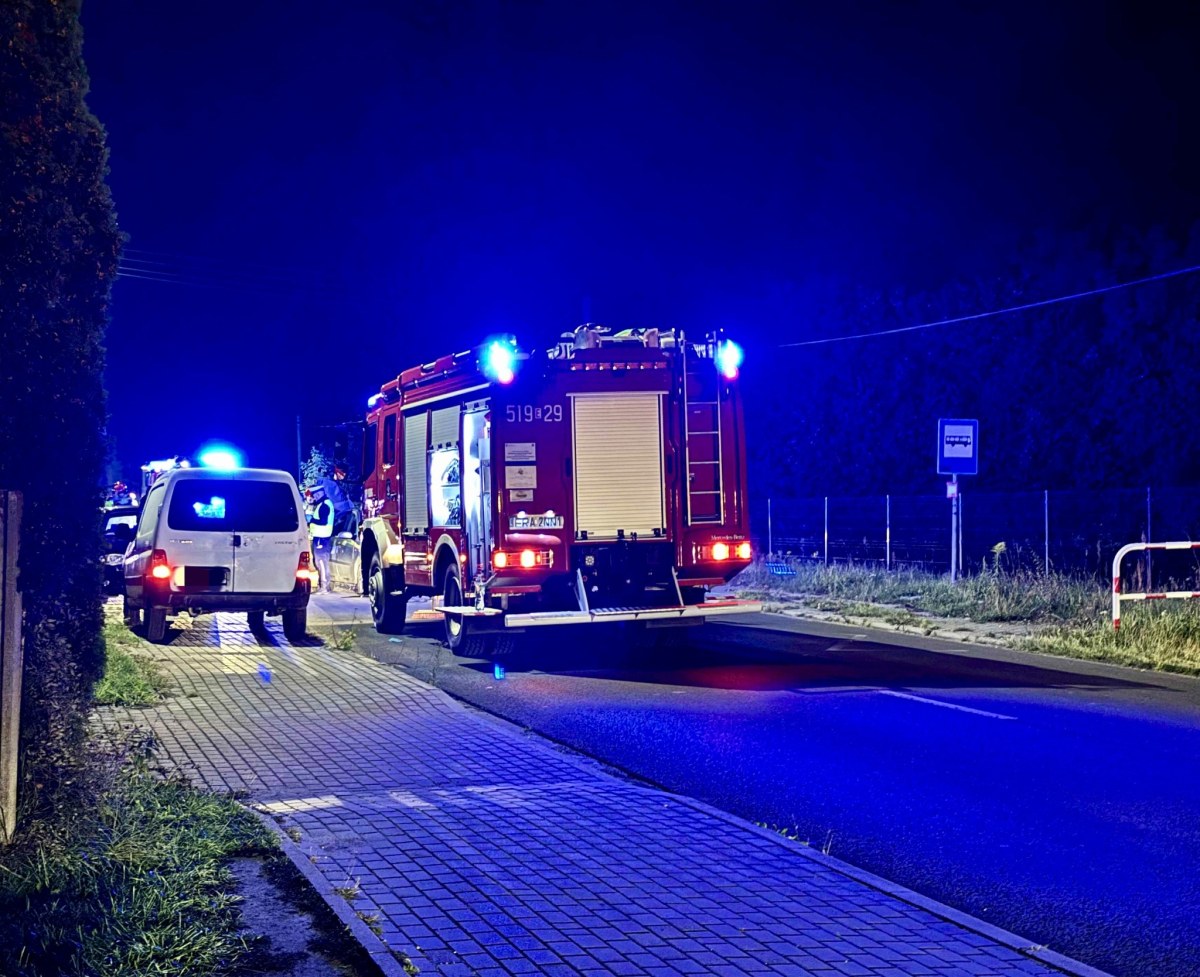 ​Konie wbiegły na drogę, wprost pod forda. Groźny wypadek w Łódzkiem